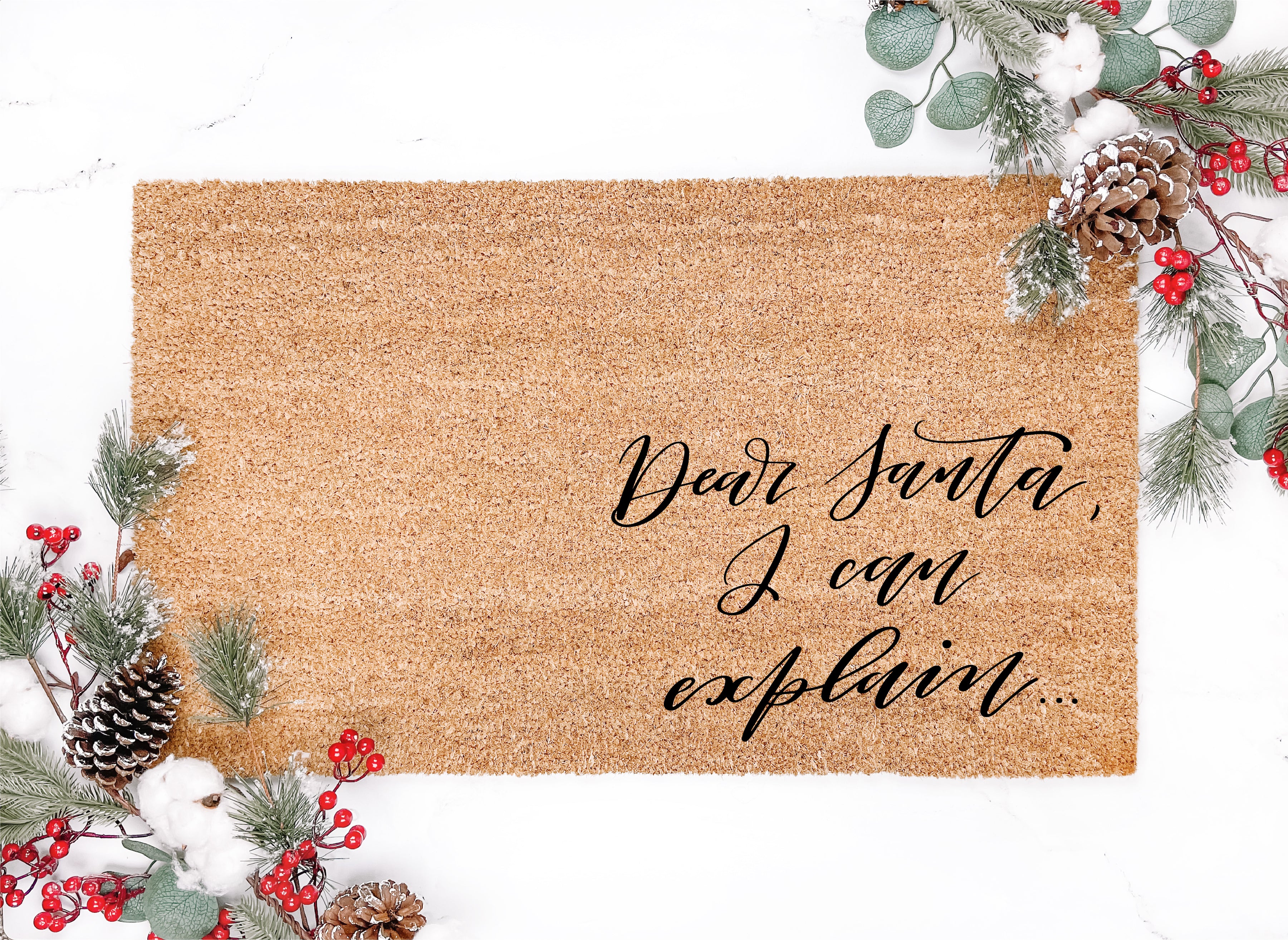 Dear Santa I Can Explain Doormat